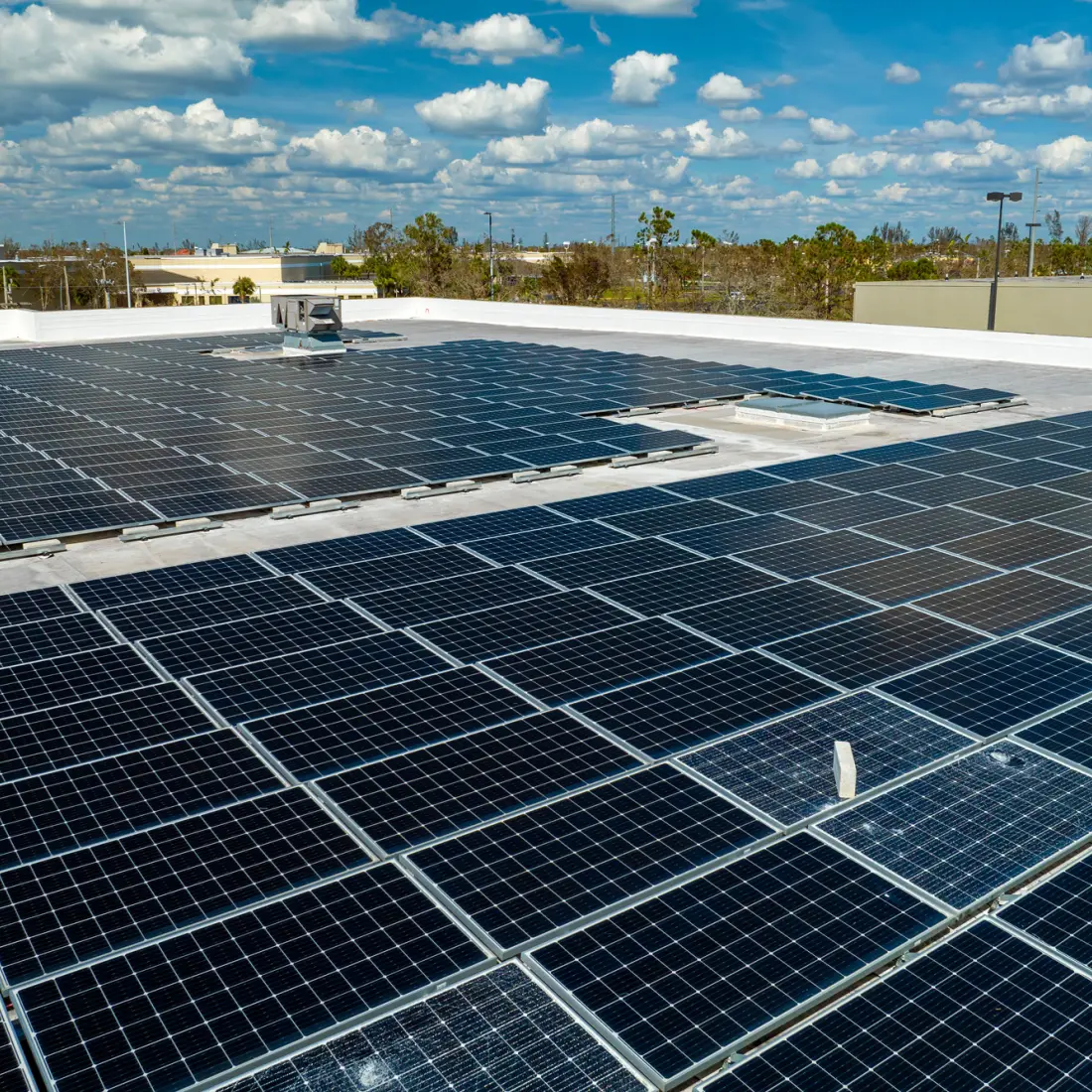 Image hover effect image