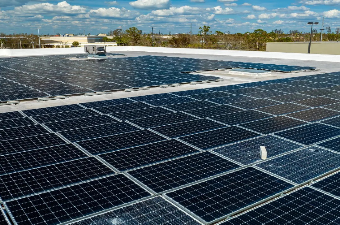 Image hover effect image